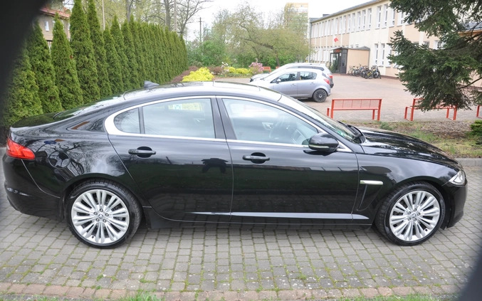 Jaguar XF cena 59900 przebieg: 226000, rok produkcji 2014 z Recz małe 436